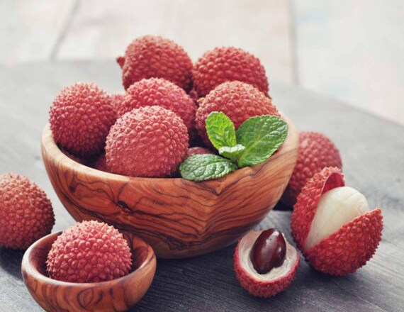 BREWSTER LYCHEE/ LITCHI/ Cây Vải thiều
