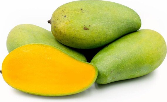PRAM KAI MEI Thai Mango Tree
