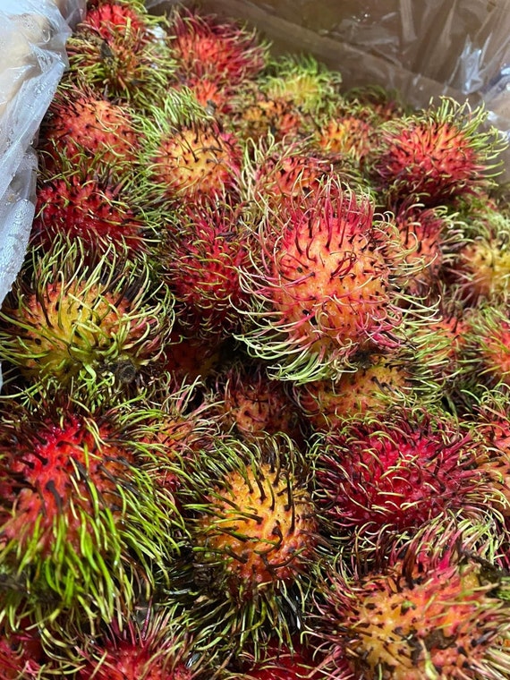 5-6lbs FRESH RAMBUTAN Tropical Exotic Fruits
