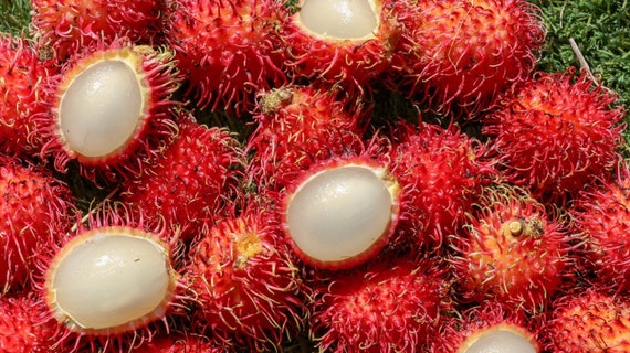 5-6lbs FRESH RAMBUTAN Tropical Exotic Fruits