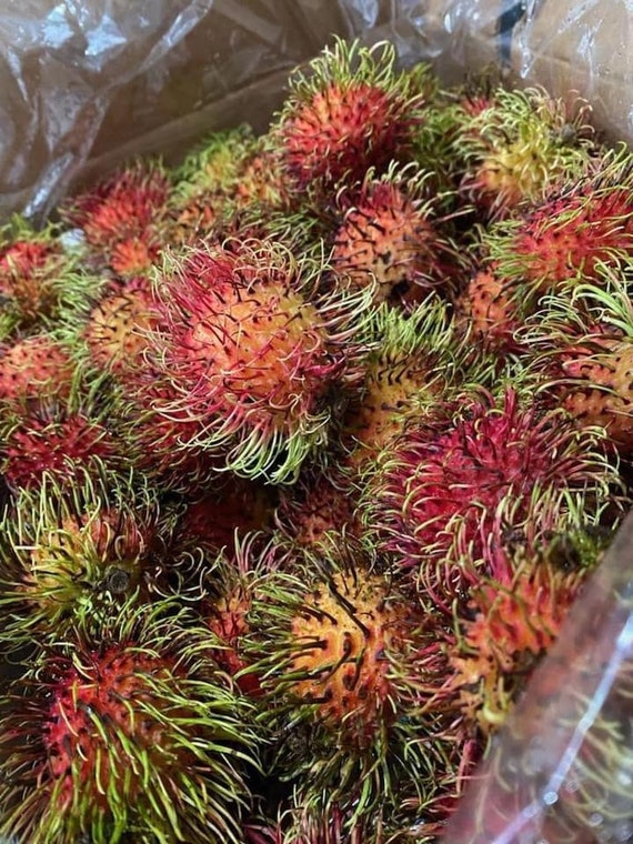 5-6lbs FRESH RAMBUTAN Tropical Exotic Fruits
