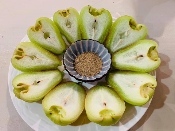 THAI Green JUMBO Wax Jambu Fruit Tree. Mận Thái Xanh