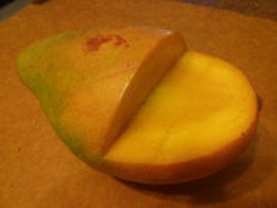VAL-CARRIE Mango Tree