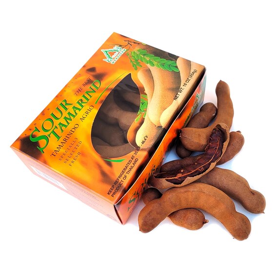 SOUR TAMARIND Tree. (Tamarindus indica)