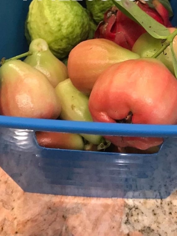 Mận Hồng Sóc Trăng Pink Wax Jambu