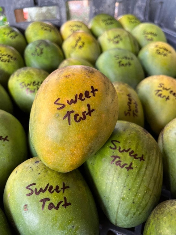 SWEET TART Mango Tree