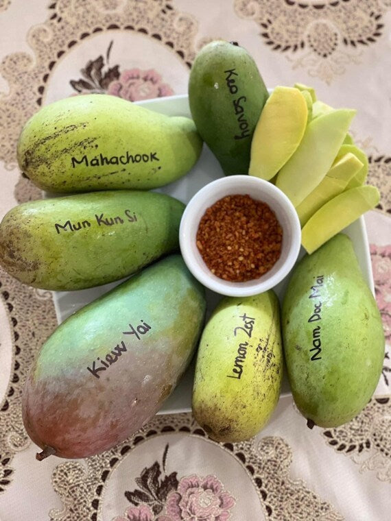 LEMON ZEST Mango Tree