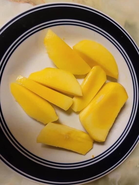 FLORIGON Mango Tree
