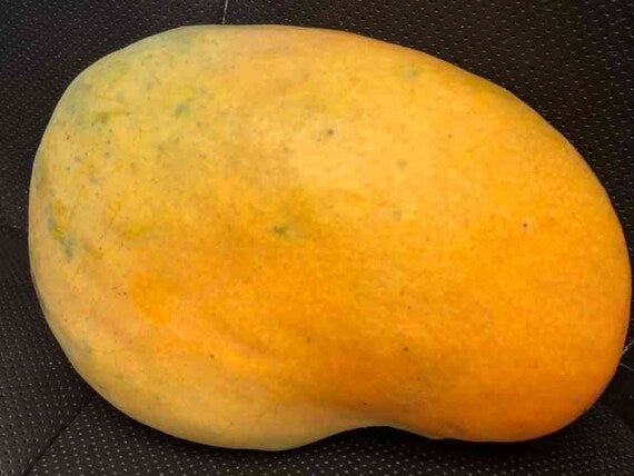 BUTTERCREAM Mango Tree