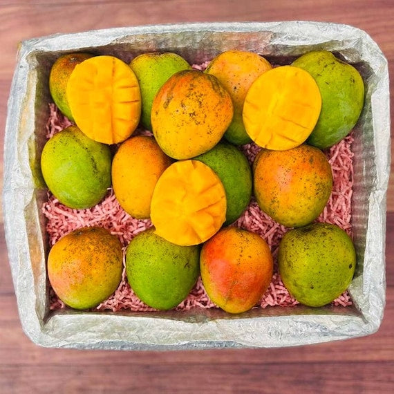 HONEY KISS Mango Tree