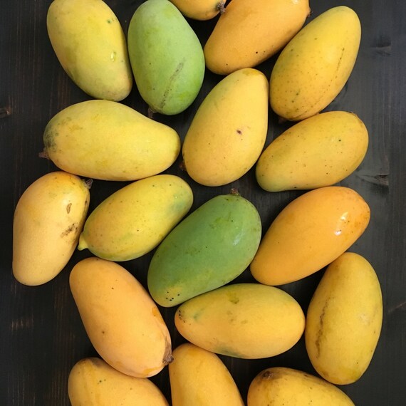 LEMON MERINGUE (Po Pyu Kalay) Mango Tree