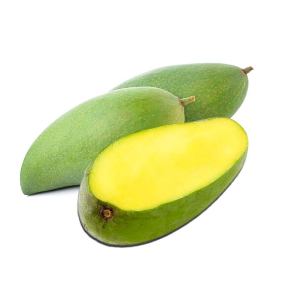 FALAN Thai DWARF Mango Tree