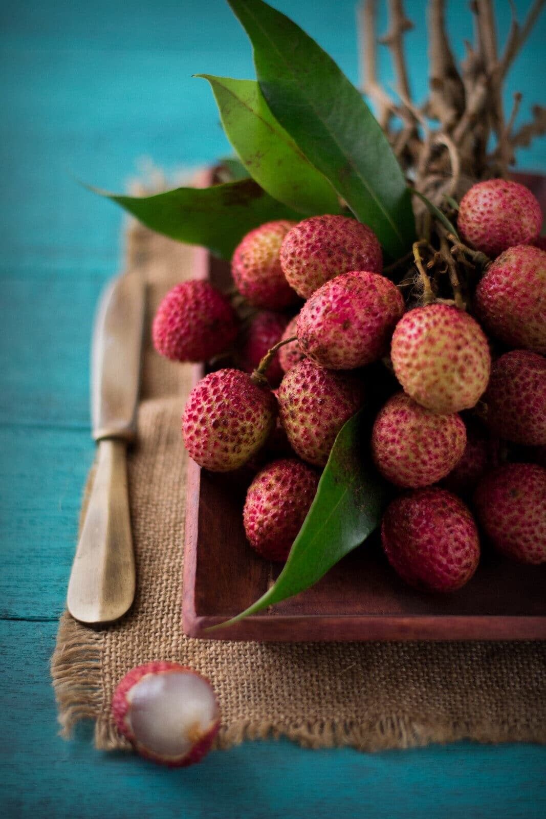 MAURITIUS LYCHEE/ LITCHI Tree