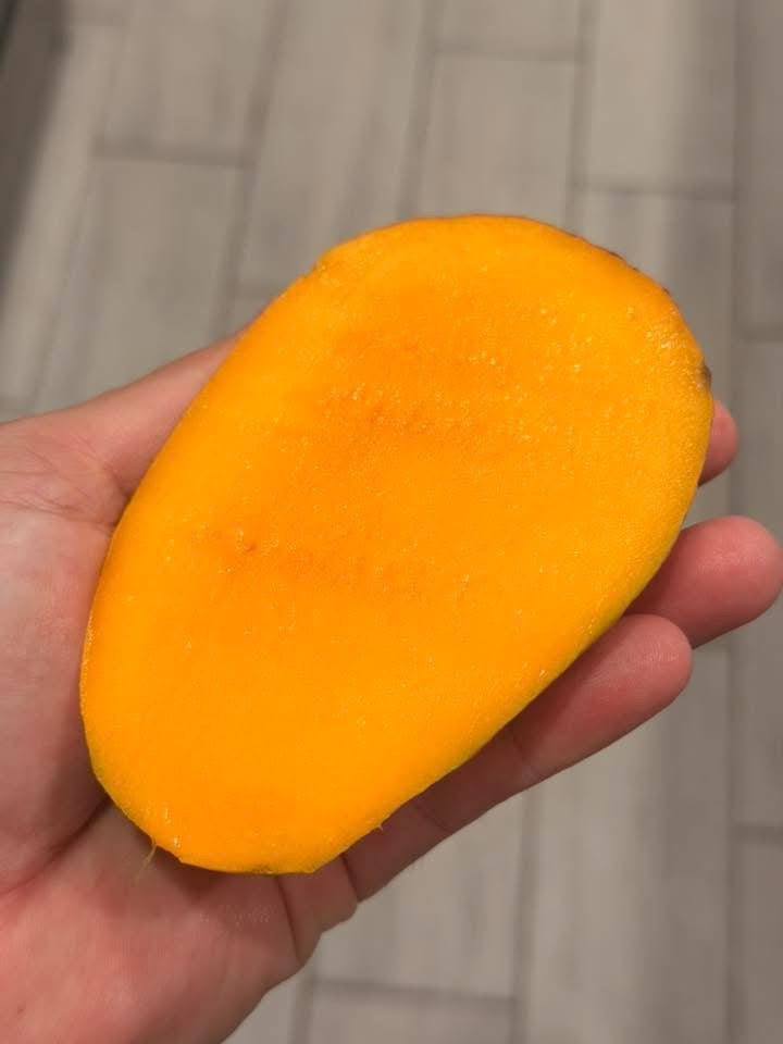 PICKERING Grafted Mango Tree