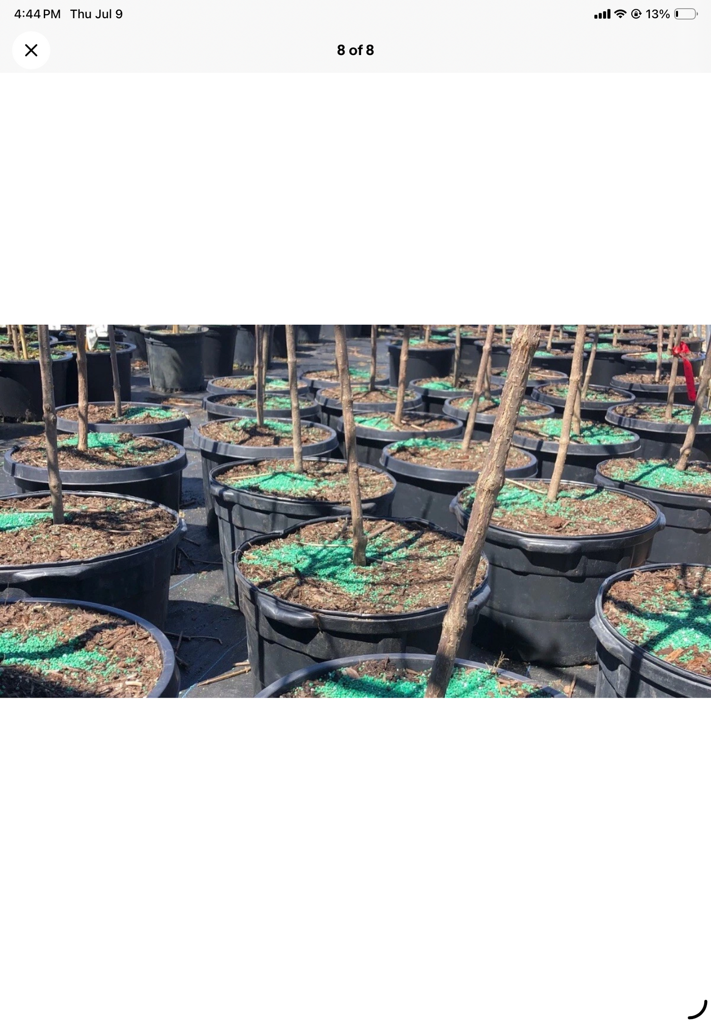 HARRELL’S FERTILIZER 15-4-17 Professional Grade Slow Release All Purpose