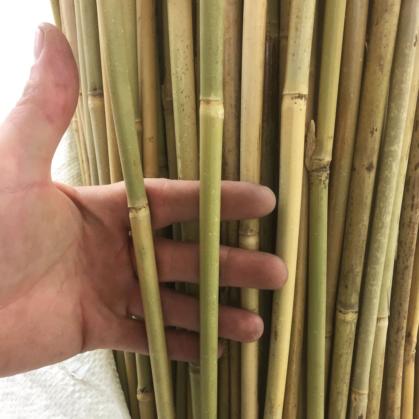 Sturdy Bamboo Stakes Tonkin Plant Garden Accessories