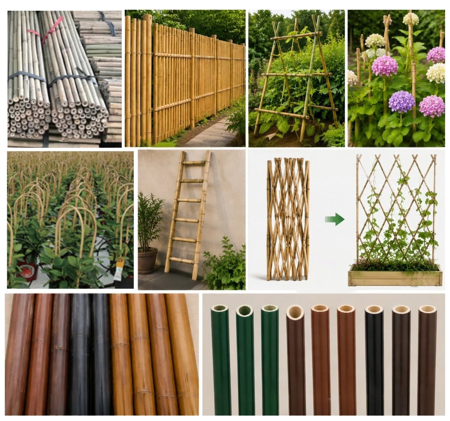 Sturdy Bamboo Stakes Tonkin Plant Garden Accessories