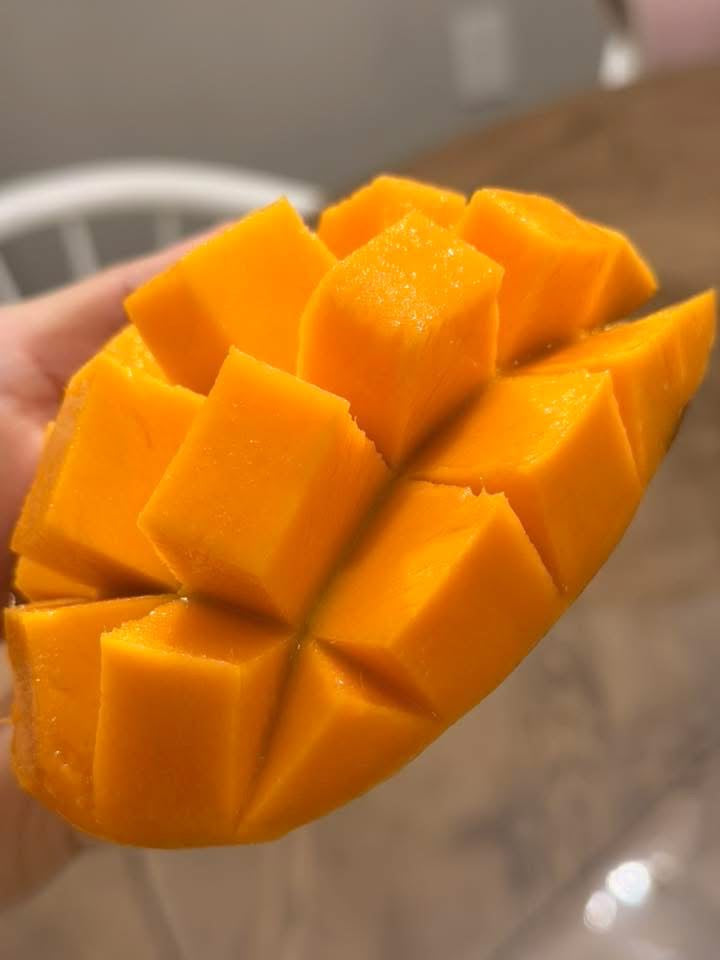 PICKERING Grafted Mango Tree