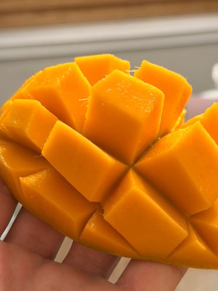 PICKERING Grafted Mango Tree