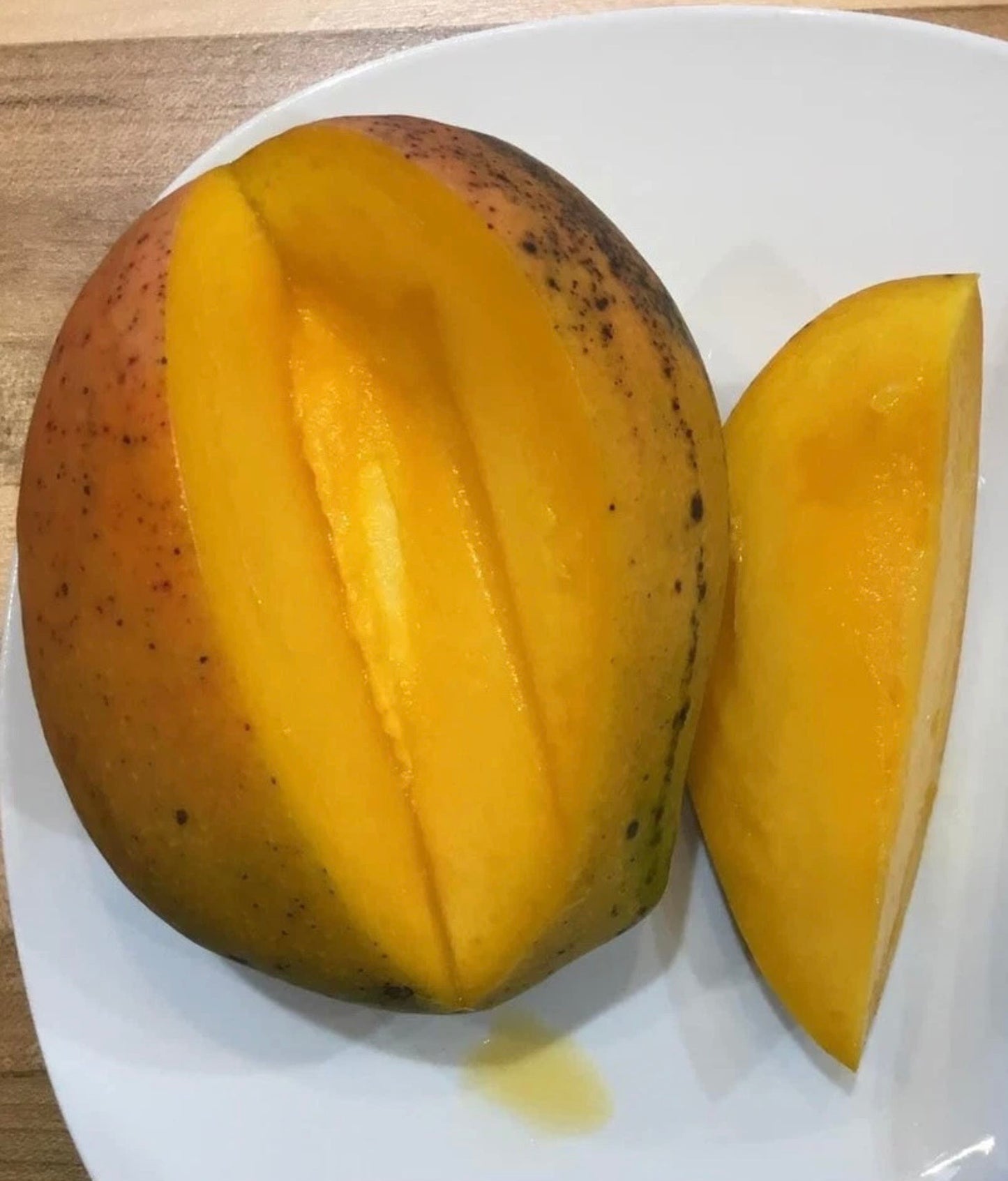 SUNRISE Grafted MANGO Tree Ready To Fruit. Ship by UPS