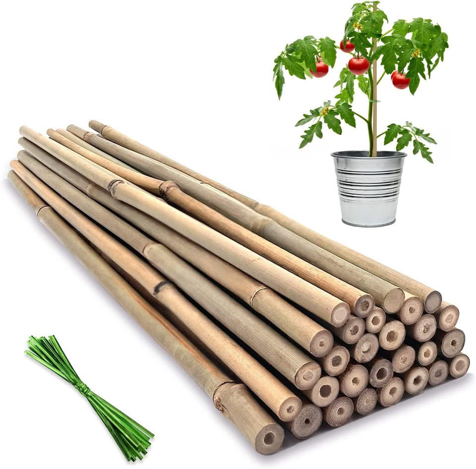 Sturdy Bamboo Stakes Tonkin Plant Garden Accessories