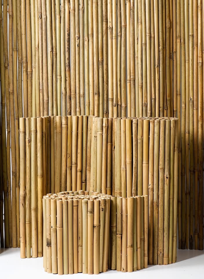Sturdy Bamboo Stakes Tonkin Plant Garden Accessories