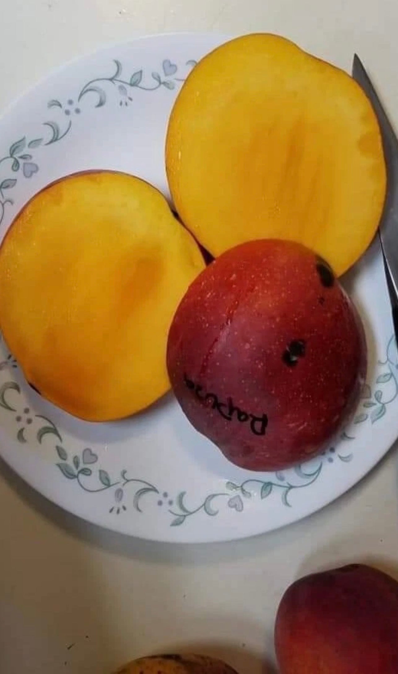 RAPOZA Mango Tree