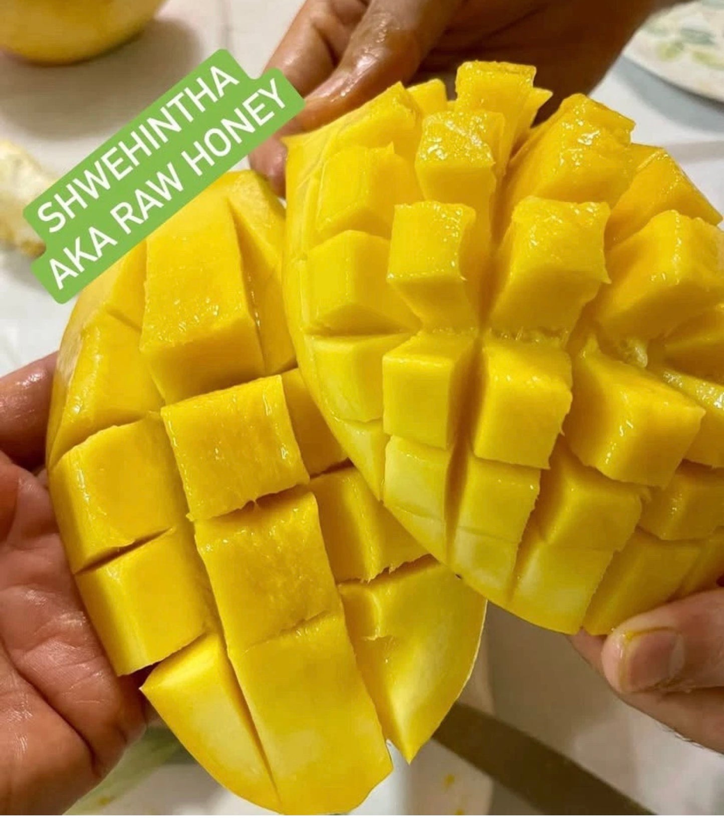 RAW HONEY Grafted Mango Tree