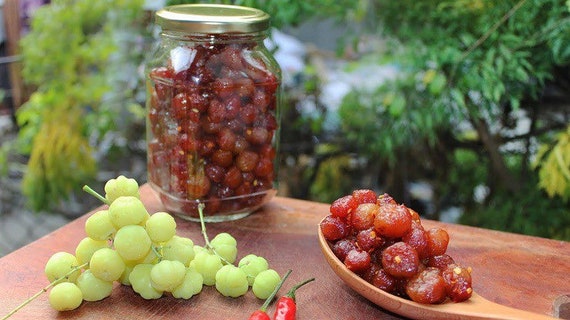 STAR GOOSEBERRY/ GROSELLA/ Sour Gooseberry. Cây Chùm Ruột