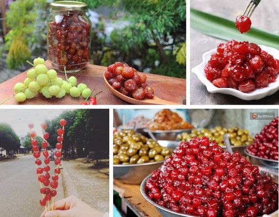 STAR GOOSEBERRY/ GROSELLA/ Sour Gooseberry. Cây Chùm Ruột