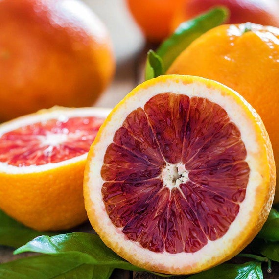 MORO BLOOD ORANGE