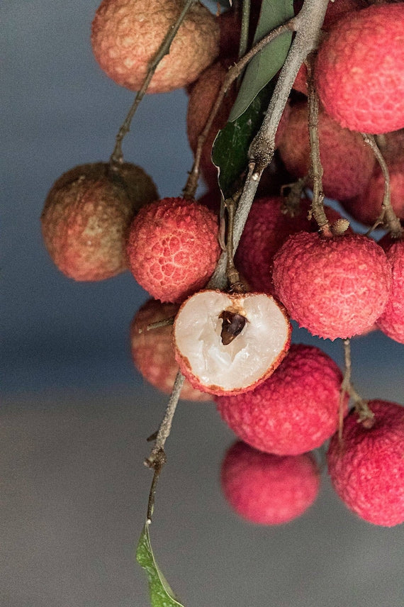 EMPEROR Lychee/ Litchi/ Cây Vải Hoàng Đế