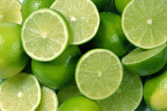 PERSIAN LIME SEEDLESS Tree/ Bearss Lime/ Tahaiti Lime/ Chanh Giấy Ko Hạt