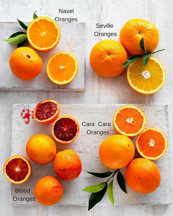 CARA CARA ORANGE/ Red Navel Orange Grafted Dwarf Citrus Tree