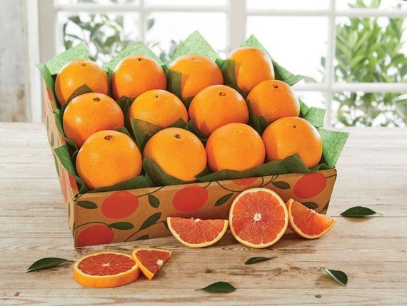 CARA CARA ORANGE/ Red Navel Orange Grafted Dwarf Citrus Tree