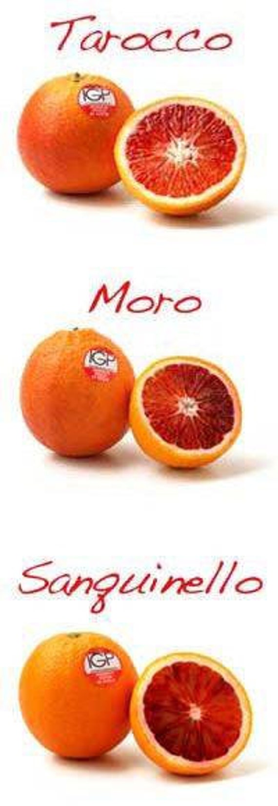 MORO BLOOD ORANGE