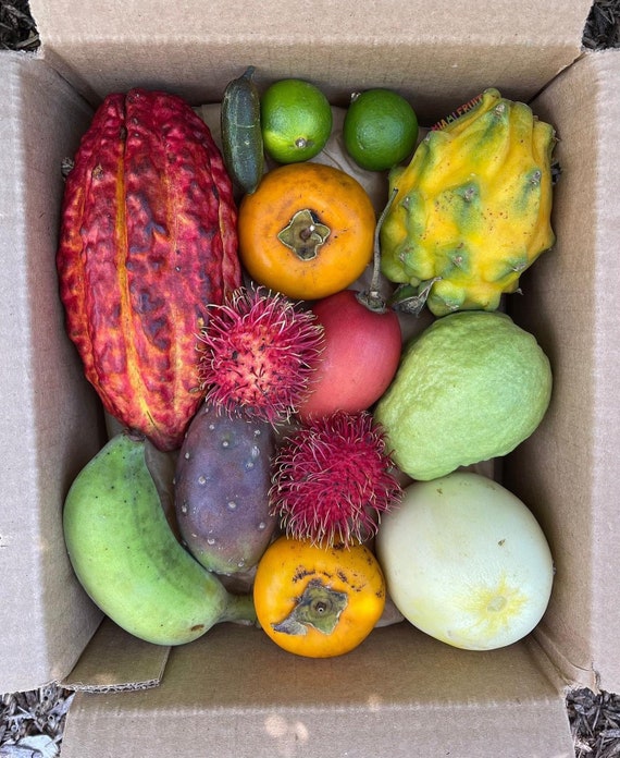 5-7Lbs TROPICAL SEASONAL EXOTIC Fresh Fruits Mixed 6-8 Varieties Surprise Box