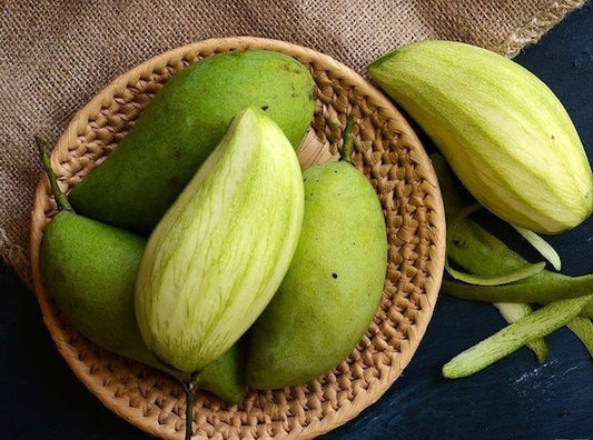 KIEW YAI THAI Mango Tree. Xoài Tượng/ Khaew Yai/ Khao Yai/ Keow Yai