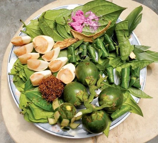 PAAN PLANT. Shipped in pot. Cây Trầu