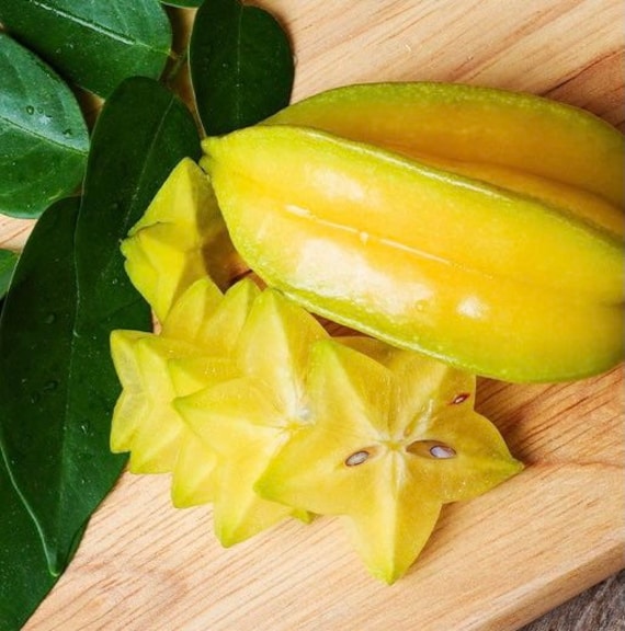 CARAMBOLA Tree/ Sweet STAR FRUIT/ Cây Khế Ngọt