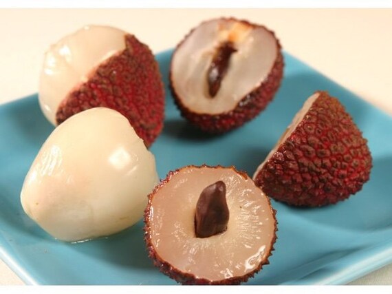 HAK-IP LYCHEE Tree/ Litchi/ Cây Vải Thiều Hột Tiêu