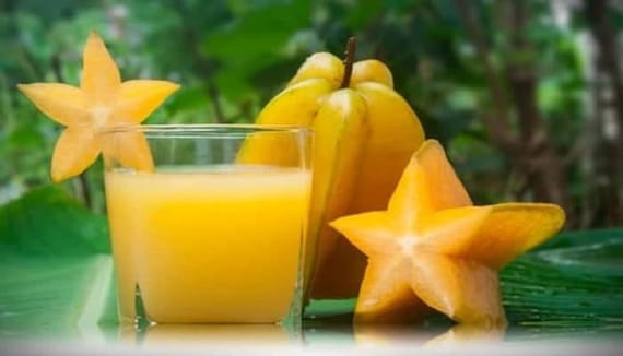 CARAMBOLA Tree/ Sweet STAR FRUIT/ Cây Khế Ngọt