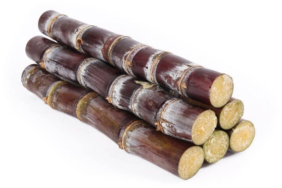 10Lbs FRESH PURPLE SUGARCANE Sticks. Mía Voi