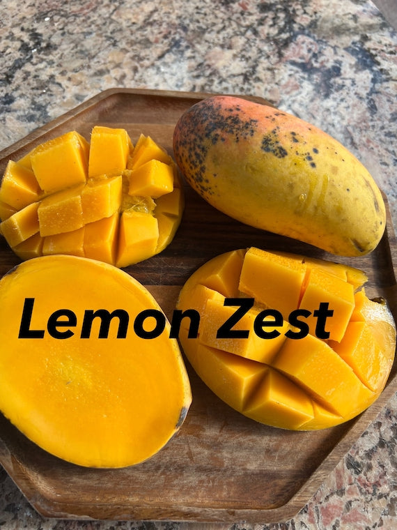 LEMON ZEST Mango Tree