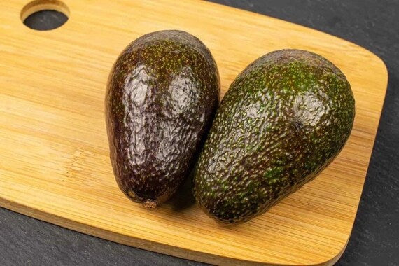 HASS Avocado Tree