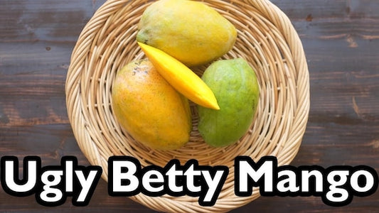 UGLY BETTY Mango Tree