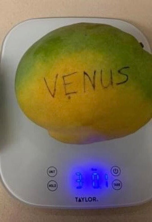 VENUS Mango