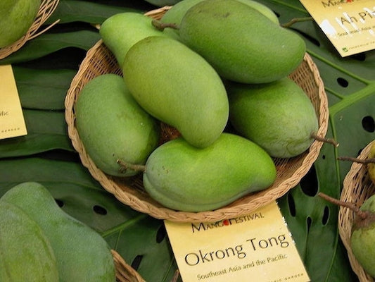 OKRUNG TONG Mango Tree