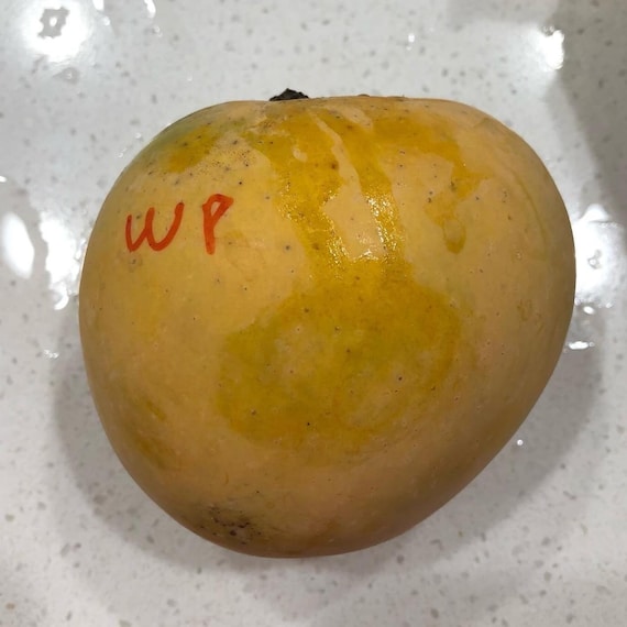 WHITE PIRIE Mango Tree – iGreenThumb