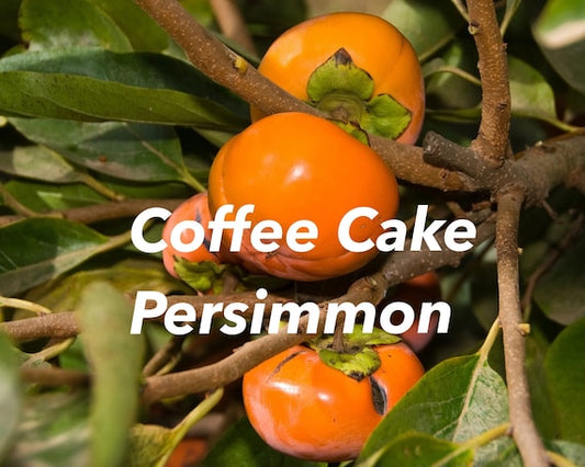 COFFEE CAKE PERSIMMON